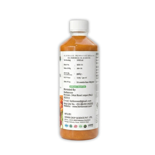 Sea Buckthorn Juice 1000 ML